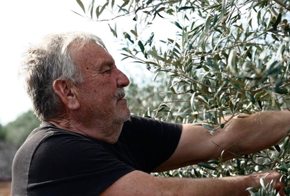 Francisco Almagro | Aceite de oliva de Menorca